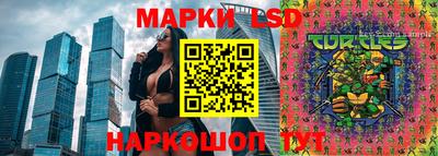 бошки Новодвинск